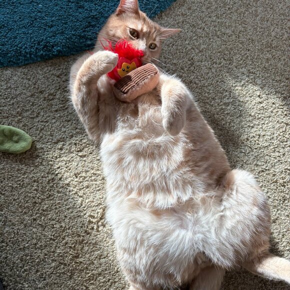 Meet your Posher, Jay - Picture 6 of 9